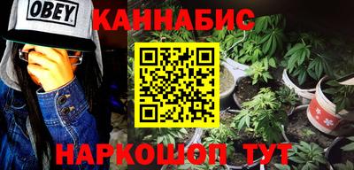 молекула духа Будённовск