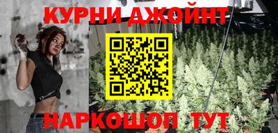 молекула духа Будённовск