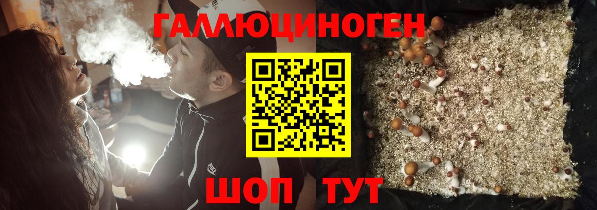 Псилоцибиновые грибы Psilocybine cubensis Прохладный